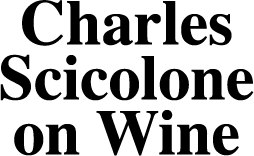 darkpress_charlesscicolone_logo